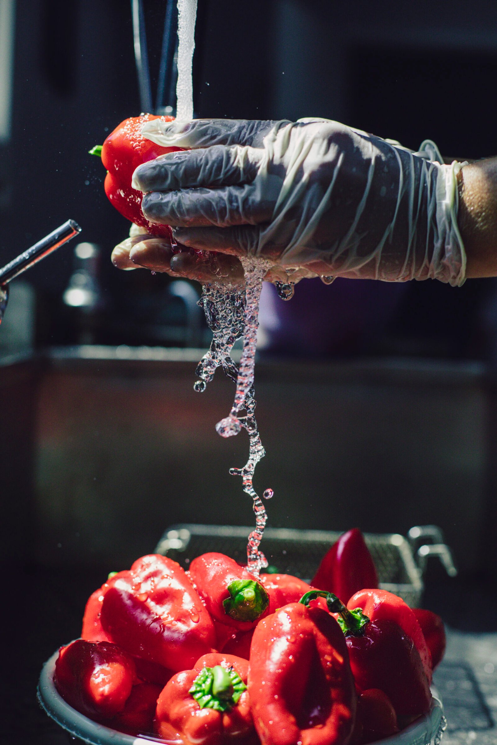 Comprehensive Food Industry Services Offered by Rishfotech